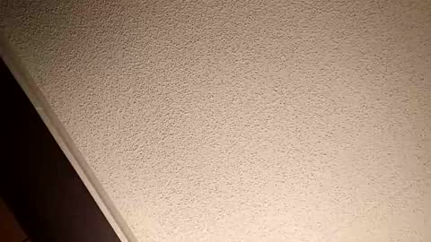 treedude303720 online show from 20, 10, 2025