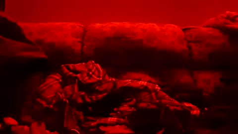 Snapshot of tretrix5588 chatting on 11, 1, 2025 tretrix5588 online show from 11, 1, 2025