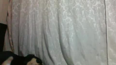 triana_bell online show from 14, 1, 2025