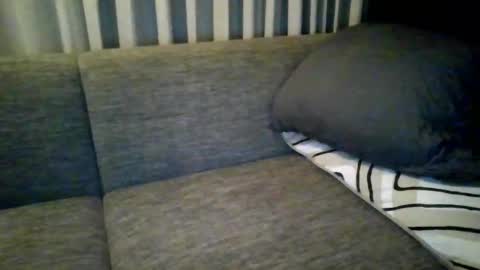 Snapshot of triciawu22 chatting on 8, 12, 2024 triciawu22 online show from 8, 12, 2024