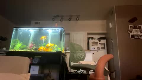 trickydick6 online show from 20, 3, 2026