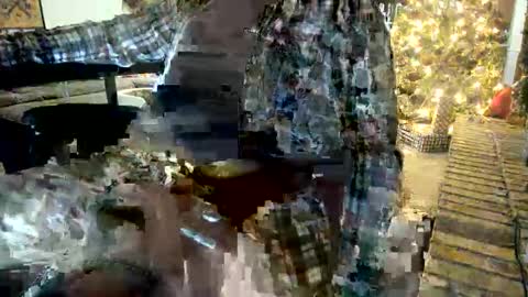 BWD online show from 17, 12, 2025