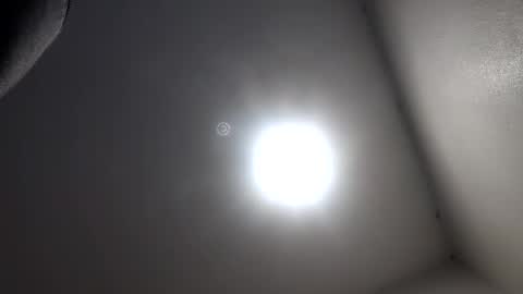 trip209 online show from 6, 2, 2026