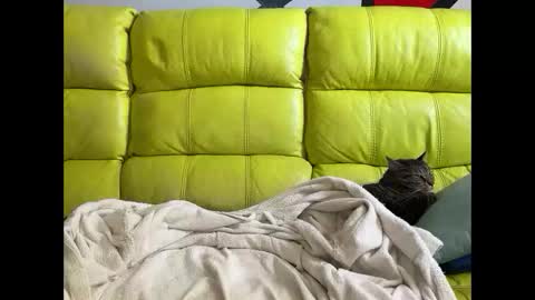 Snapshot of trip2nite3000 chatting on 3, 4, 2026 Ramiro online show from 3, 4, 2026