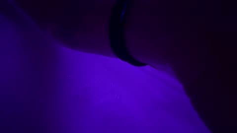 Snapshot of triplehero chatting on 30, 12, 2024 triplehero online show from 30, 12, 2024