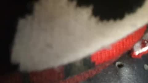 Snapshot of trobelle chatting on 26, 12, 2024 trobelle online show from 26, 12, 2024