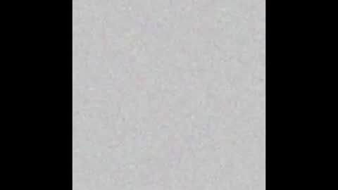 Snapshot of tropicalmadness chatting on 26, 2, 2026 Archie Torres online show from 26, 2, 2026