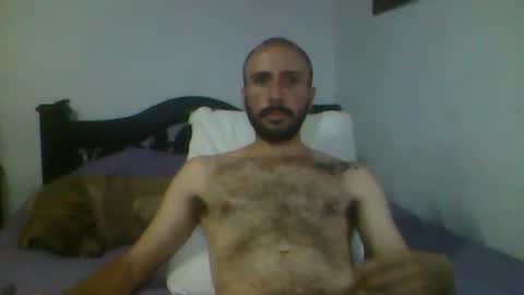 Troy online show from 16, 11, 2025