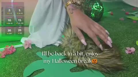   online show from 29, 10, 2025