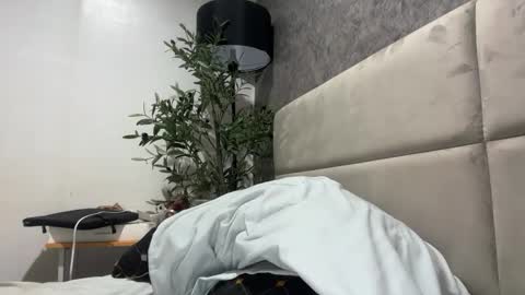 ts_danielahugecock_xxx online show from 2, 2, 2026