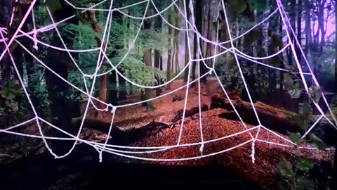 Snapshot of tsblondienyc chatting on 28, 10, 2025 Jessie online show from 28, 10, 2025