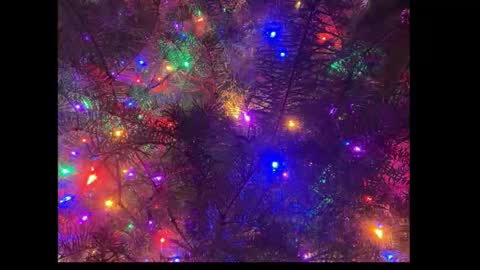 Snapshot of tttww33 chatting on 1, 12, 2025 tttww33 online show from 1, 12, 2025