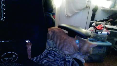 Snapshot of twackedntatted chatting on 12, 12, 2024 TwackedNTatted online show from 12, 12, 2024