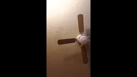 twosometeasesdarksexualkingdom online show from 27, 2, 2026