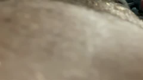 twotims12 online show from 24, 11, 2025