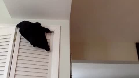 Tyler Durden online show from 2, 3, 2025