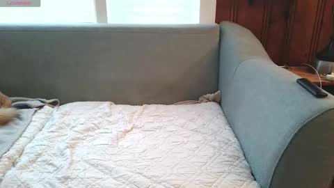 Tyler Sands online show from 16, 12, 2025