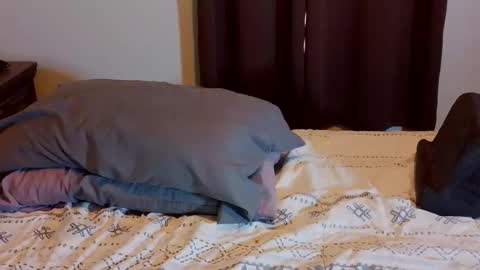 Blue Eyed Handsome Man online show from 1, 2, 2026