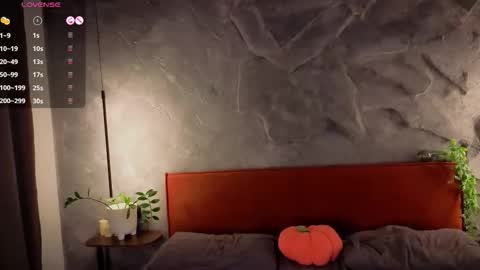 Polly online show from 27, 11, 2025