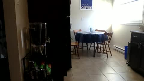 Buzz Bigcock online show from 23, 2, 2026