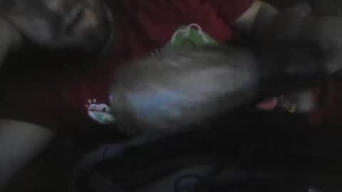 Snapshot of uncutgemkin chatting on 17, 12, 2025 UncutGem online show from 17, 12, 2025