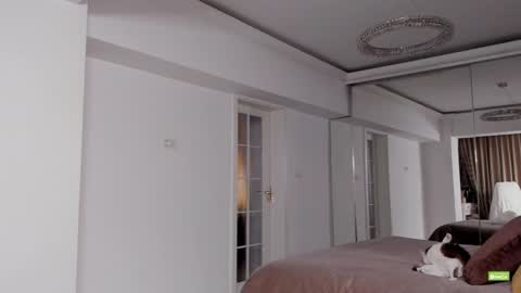 Snapshot of unforgettable_s chatting on 15, 12, 2024 Silvia online show from 15, 12, 2024