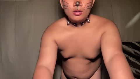 DA online show from 8, 4, 2026