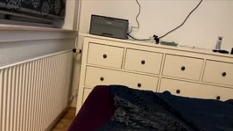 Usemy67 online show from 6, 1, 2026