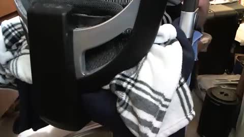 Utahsmallcock online show from 18, 1, 2026