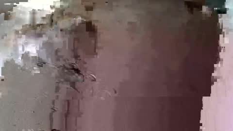 uzurpator0031 online show from 22, 3, 2026