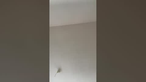 valerianleclercq2025 online show from 27, 2, 2026