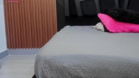 Snapshot of valka_ross chatting on 17, 11, 2025 VALKA ROSS online show from 17, 11, 2025