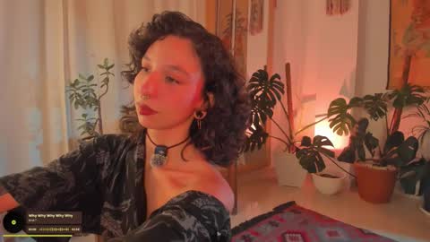      online show from 8, 2, 2026