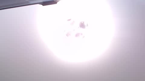 Van online show from 18, 12, 2025