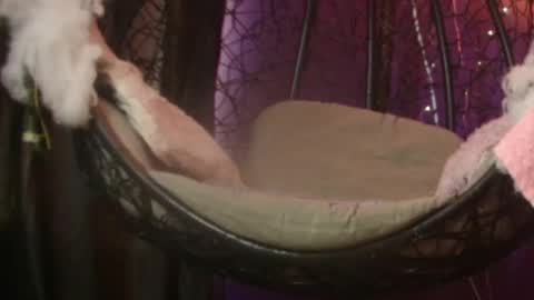 Vanelope online show from 28, 11, 2025