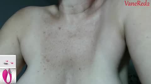 Snapshot of vanessared2 chatting on 25, 2, 2026 Vanesared2 online show from 25, 2, 2026