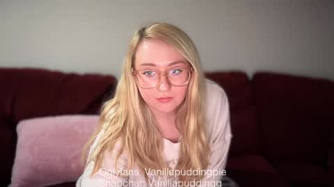 Snapshot of vanillapuddingpie chatting on 5, 12, 2024 vanillapuddingpie online show from 5, 12, 2024