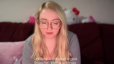 Snapshot of vanillapuddingpie chatting on 10, 12, 2024 vanillapuddingpie online show from 10, 12, 2024