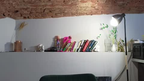 VENERA  online show from 22, 11, 2025