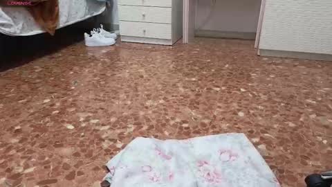 find me on chaturbate as imhaymed online show from 4, 2, 2026