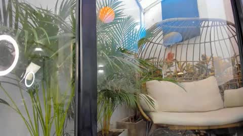 VENUS online show from 20, 11, 2025