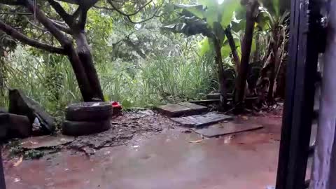 venus ... zeus sheer  online show from 27, 10, 2025