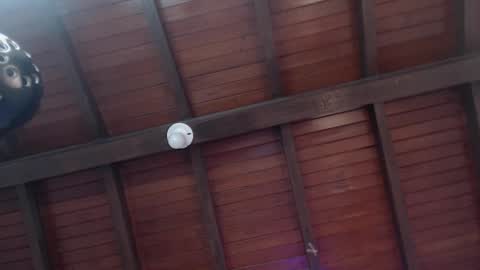 Snapshot of venusevans1 chatting on 12, 2, 2025 Venus Evans online show from 12, 2, 2025