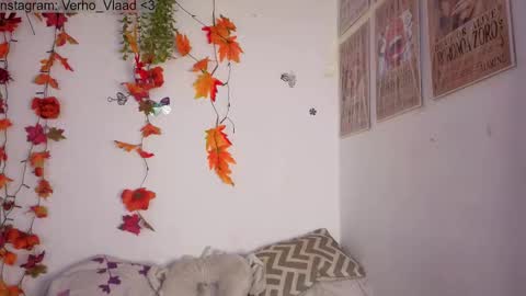 Snapshot of verho_vlaad chatting on 29, 10, 2025 Verho  online show from 29, 10, 2025