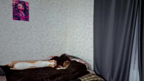 Veronica online show from 4, 3, 2026