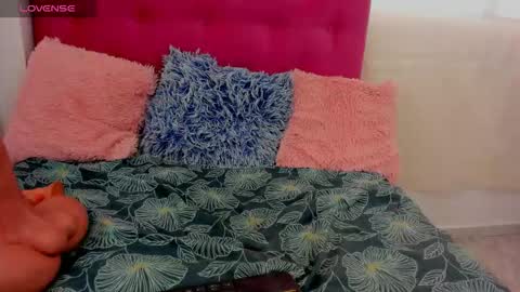 Snapshot of veronica_meller chatting on 28, 2, 2026 Veronica online show from 28, 2, 2026