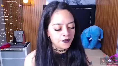 VEROS online show from 7, 11, 2025