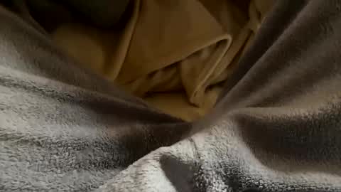 vicio online show from 17, 1, 2026