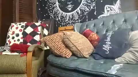 victoryyisours online show from 29, 10, 2025