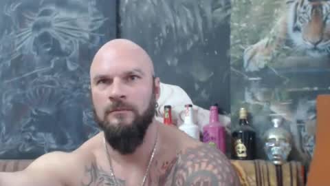 viking online show from 28, 11, 2025